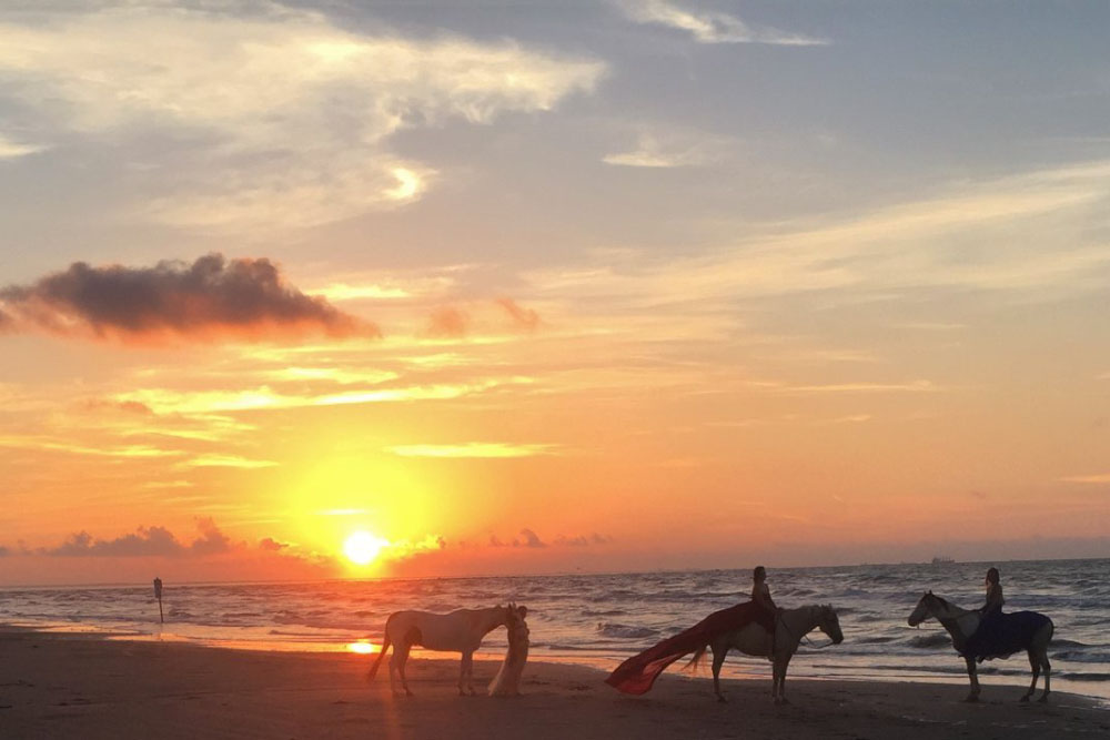 HorseBack Riding Take a guided Tour or Sunset Ride on the Beach